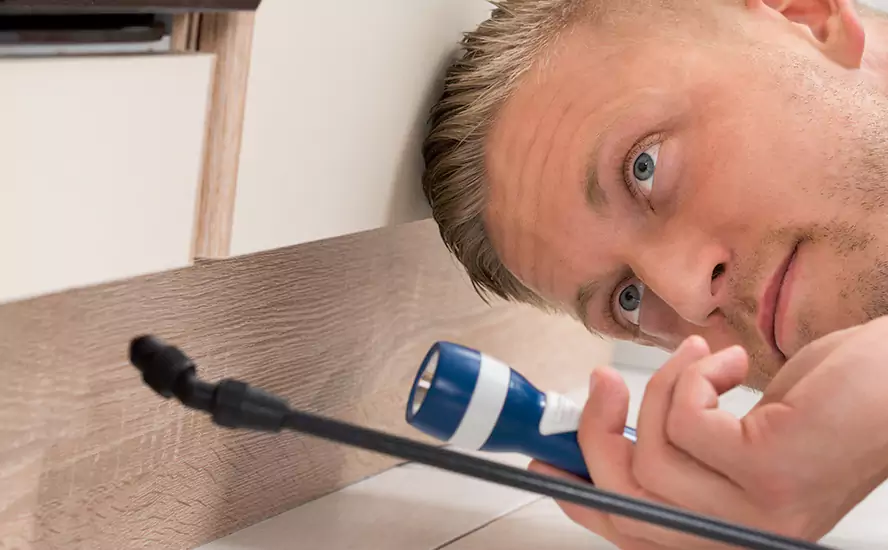 Top-Notch Pest Control in El Cajon