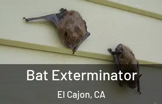  Bat Exterminator El Cajon, CA