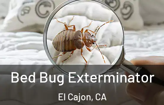  Bed Bug Exterminator El Cajon, CA