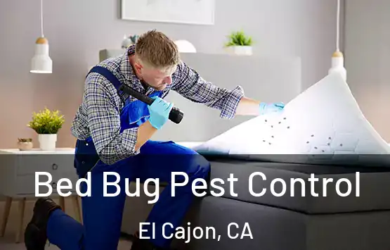  Bed Bug Pest Control El Cajon, CA