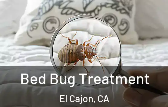  Bed Bug Treatment El Cajon, CA