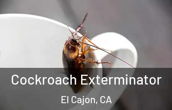  Cockroach Exterminator El Cajon, CA