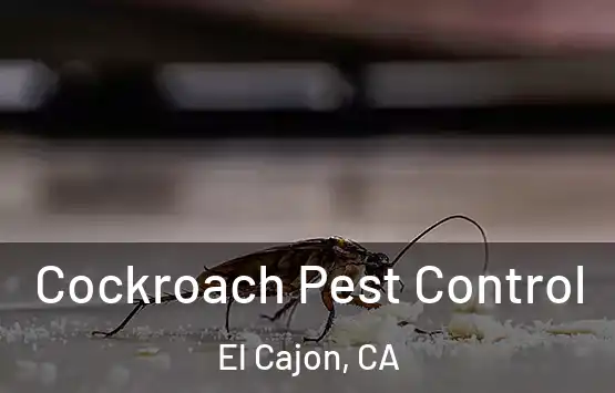  Cockroach Pest Control El Cajon, CA