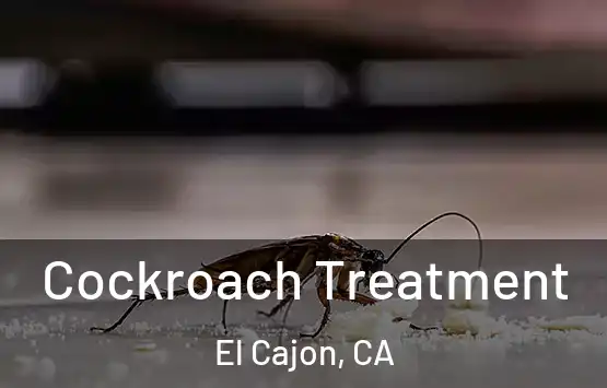  Cockroach Treatment El Cajon, CA