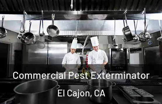  Commercial Pest Exterminator El Cajon, CA