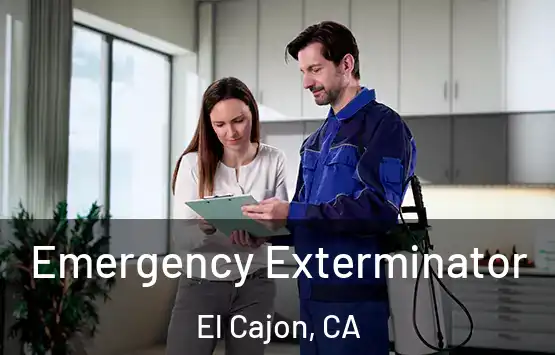  Emergency Exterminator El Cajon, CA