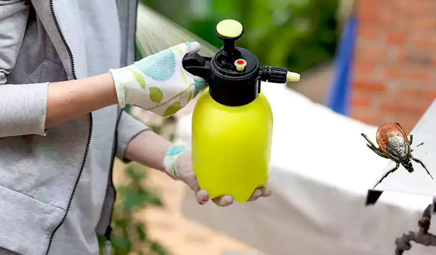 Ticks Pest Control El Cajon, California