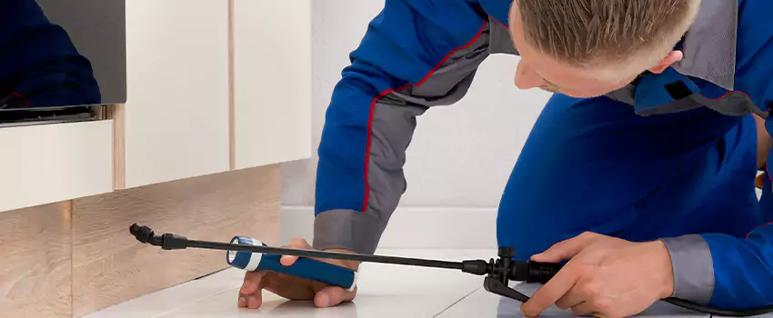 Commercial Pest Control for Offices in El Cajon, CA