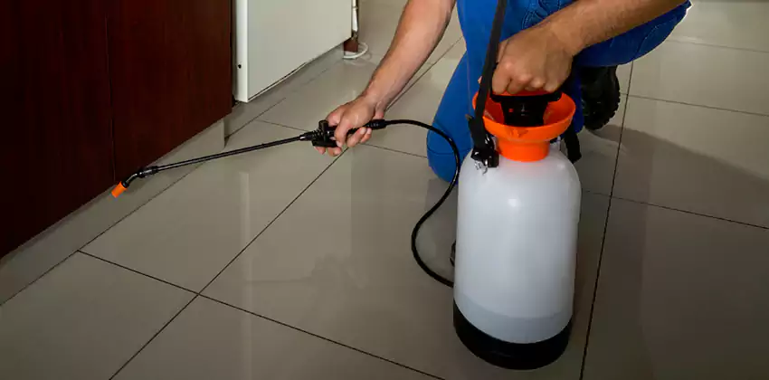 Commercial Pest Extermination for Offices in El Cajon, CA