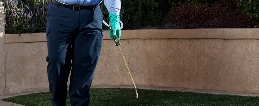 Emergency Pest Extermination for Children and Pets El Cajon, CA