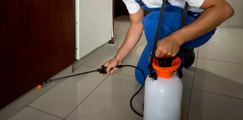 Commercial Flea Exterminator Company in El Cajon, CA