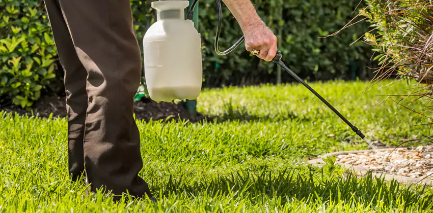 Grub Treatment for Bedrooms El Cajon, CA