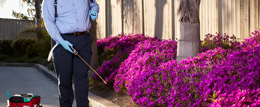 Commercial Mosquito Control Services in El Cajon, CA