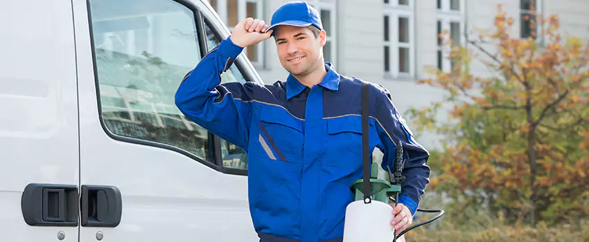 Organic and Chemical Spider Control Options El Cajon, CA