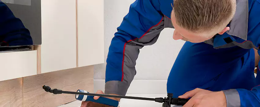 Termite Control for Children and Pets in El Cajon, CA