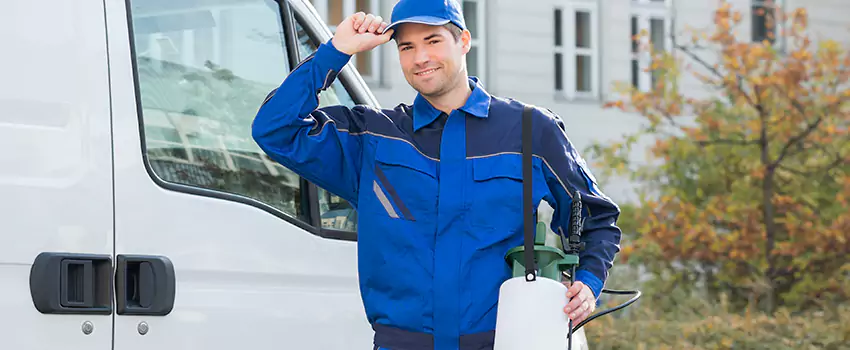 Whitefly Treatment for Bedrooms El Cajon, CA