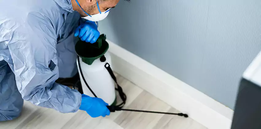 commercial-pest-exterminator in El Cajon, CA