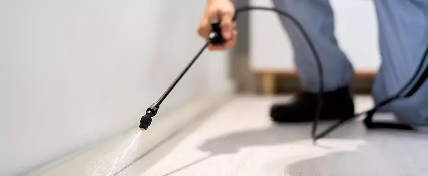 pest-exterminator in El Cajon, CA