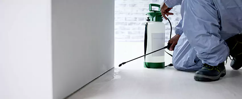 residential-pest in El Cajon, CA