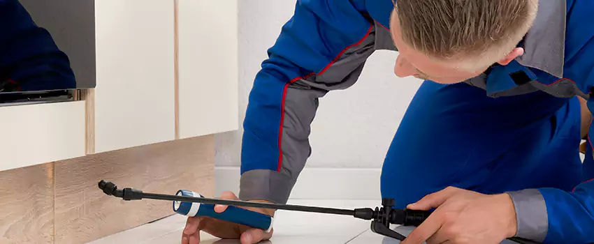 Pest Exterminator Company in El Cajon, CA