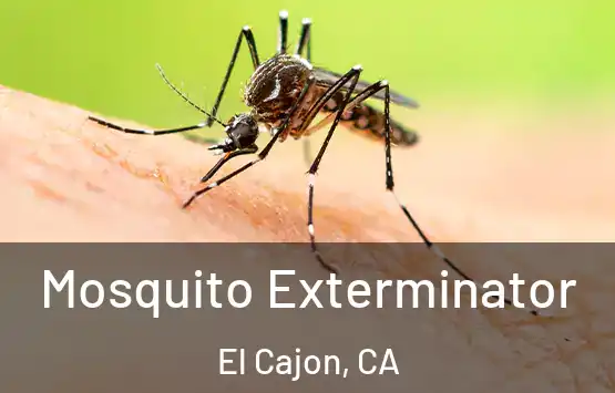  Mosquito Exterminator El Cajon, CA
