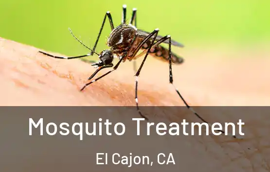  Mosquito Treatment El Cajon, CA