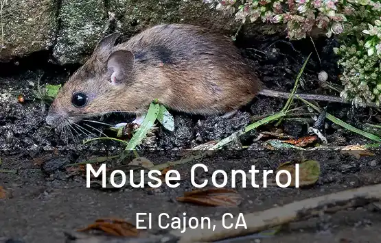  Mouse Control El Cajon, CA
