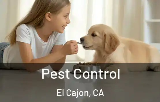 Pest Control El Cajon, CA