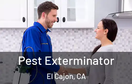  Pest Exterminator El Cajon, CA