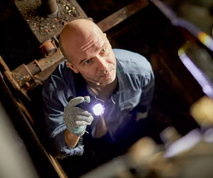 About Pest Inspection El Cajon