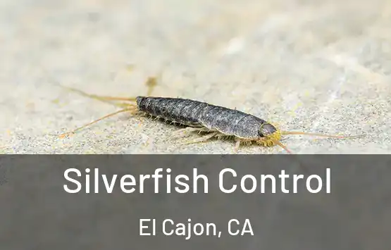  Silverfish Control El Cajon, CA