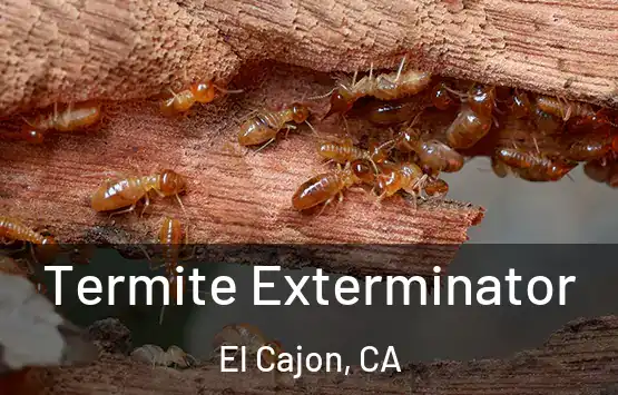  Termite Exterminator El Cajon, CA