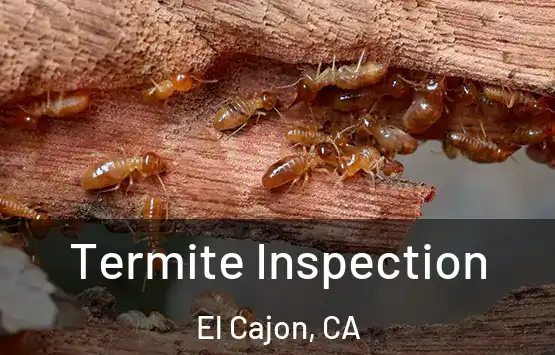  Termite Inspection El Cajon, CA