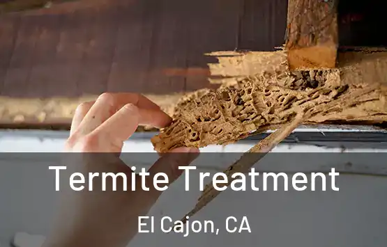  Termite Treatment El Cajon, CA