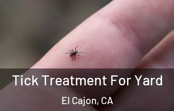  Tick Treatment For Yard El Cajon, CA