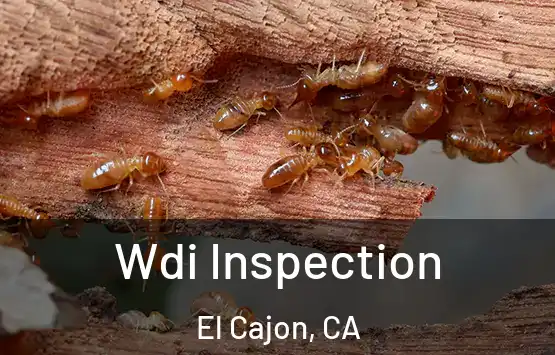  Wdi Inspection El Cajon, CA